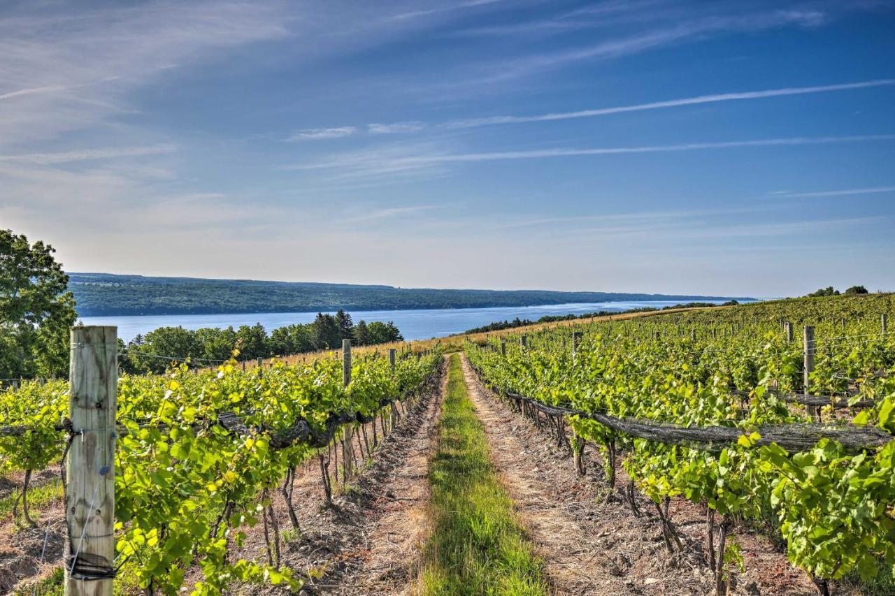 Hector Finger Lakes Farm Retreat Walk To Wineries! מראה חיצוני תמונה